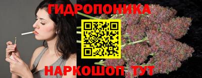прущие крисы Абакан