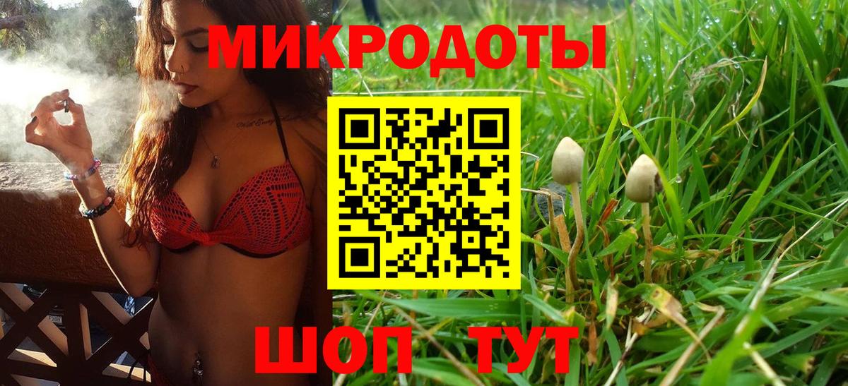 Абинск  купить  цена  Вход с VPN  Галлюциногенные грибы мицелий  Псилоцибиновые грибы Psilocybe 