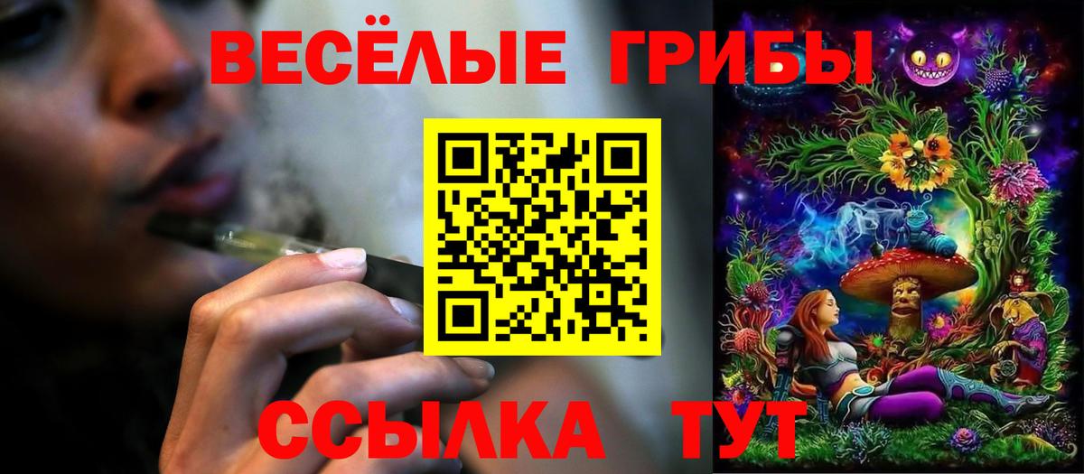 Псилоцибиновые грибы мицелий Абинск